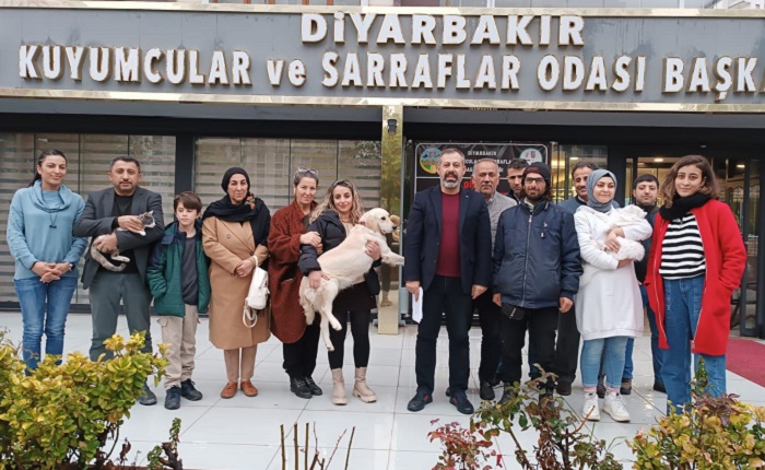 Diyarbakırlı hayvanseverlerden hayvan şiddetine tepki