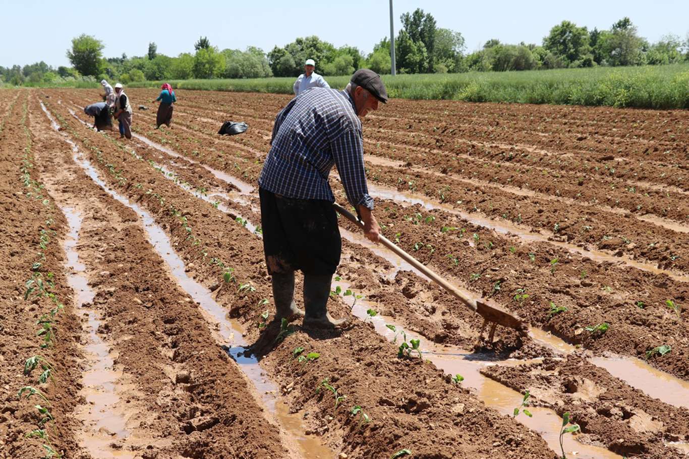 Çiftçi Kayıt Sistemi başvurularında son gün