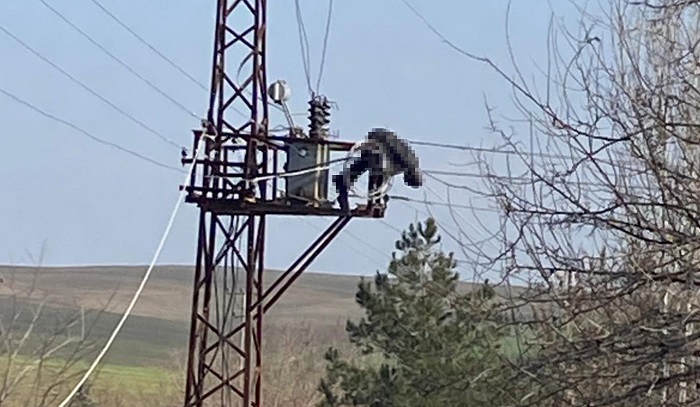 Elektrik direğine çıkan kişi hayatını kaybetti