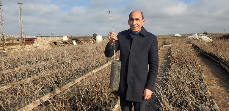 Diyarbakır'da kuraklığa karşı alternatif tarım!