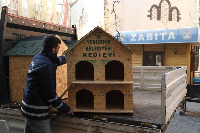 Diyarbakır'a sokak hayvanları için 200 ev yerleştirildi