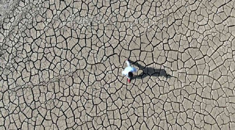 Diyarbakır’da kuraklık tehlikesi: Canlıların üreme potansiyeli düşürüyor