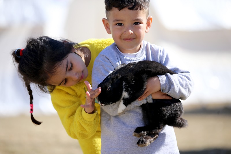 Çadır kentteki çocukların hayvan sevgisi
