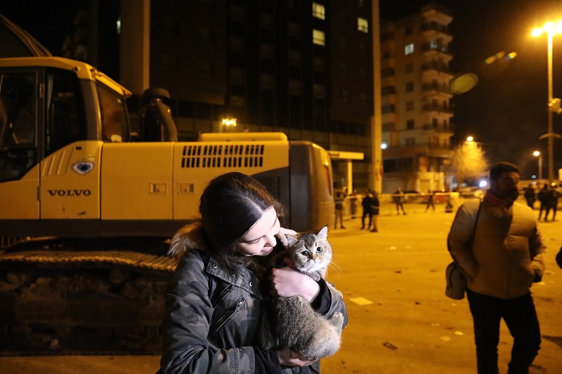 Diyar Galeria’da kurtarılan kediler sahiplerine teslim edildi