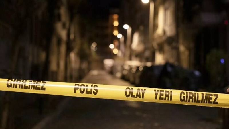 Diyarbakır'da bir kadın, geliniyle birlikte tacizine uğradığı adamı vurdu