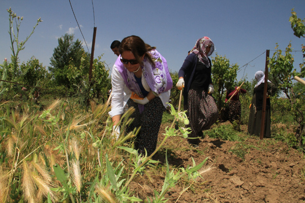 Bismil Belediyesinden kadınlara tarımsal eğitim