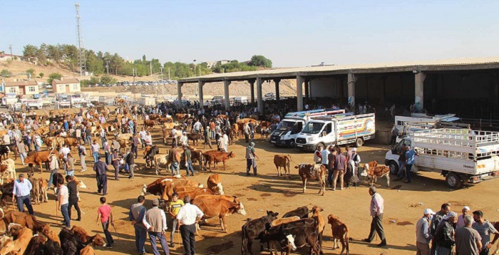 Diyarbakır Hayvan Borsası pazarı kapatıldı