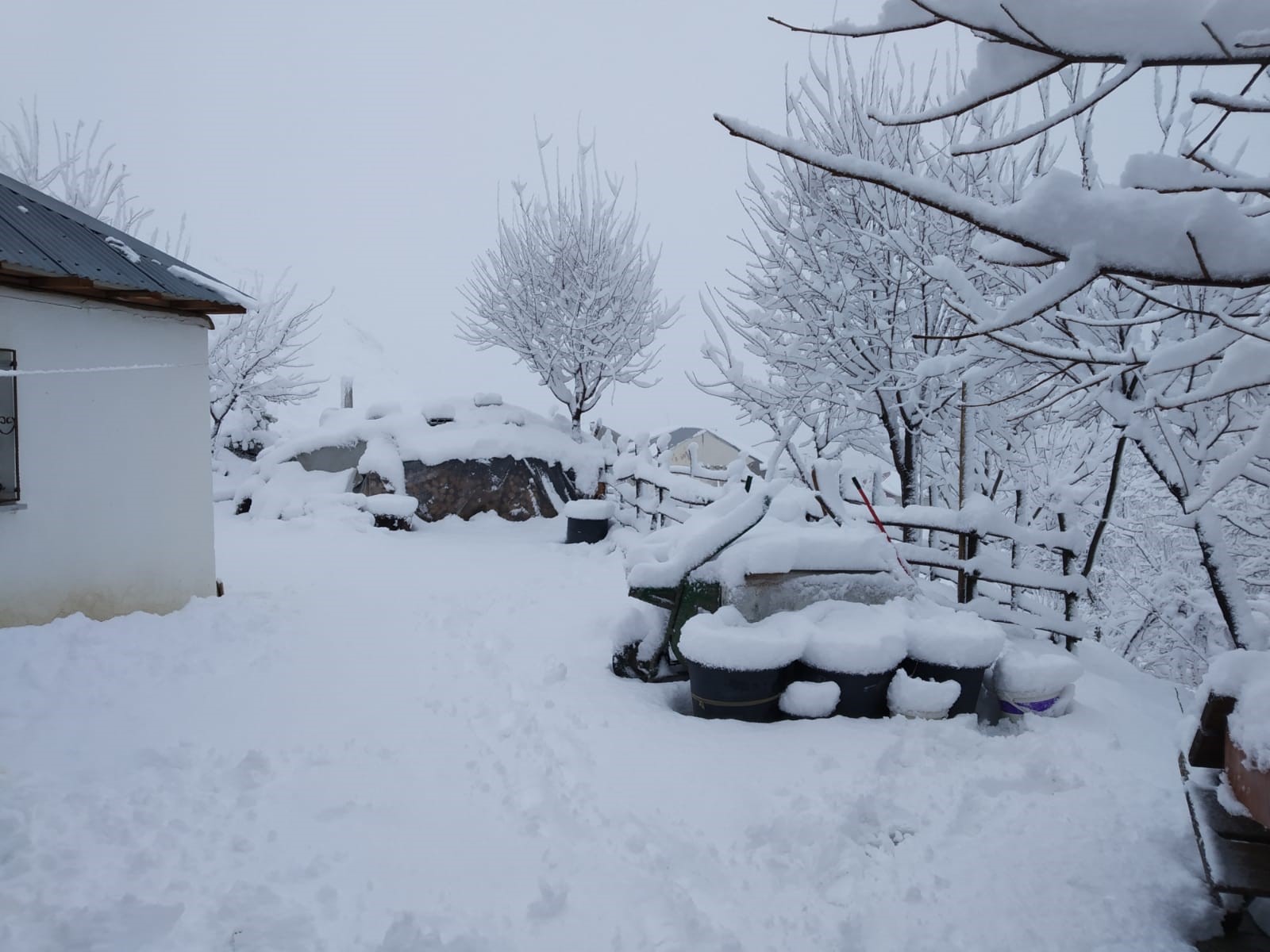 Tunceli'ye 8 Nisan'da 20 santimlik sürpriz kar yağışı