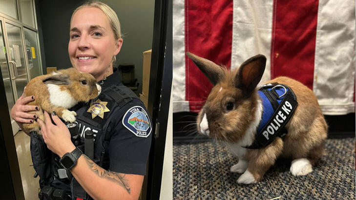 Tavşan polis’ sosyal medyada ilgi çekti
