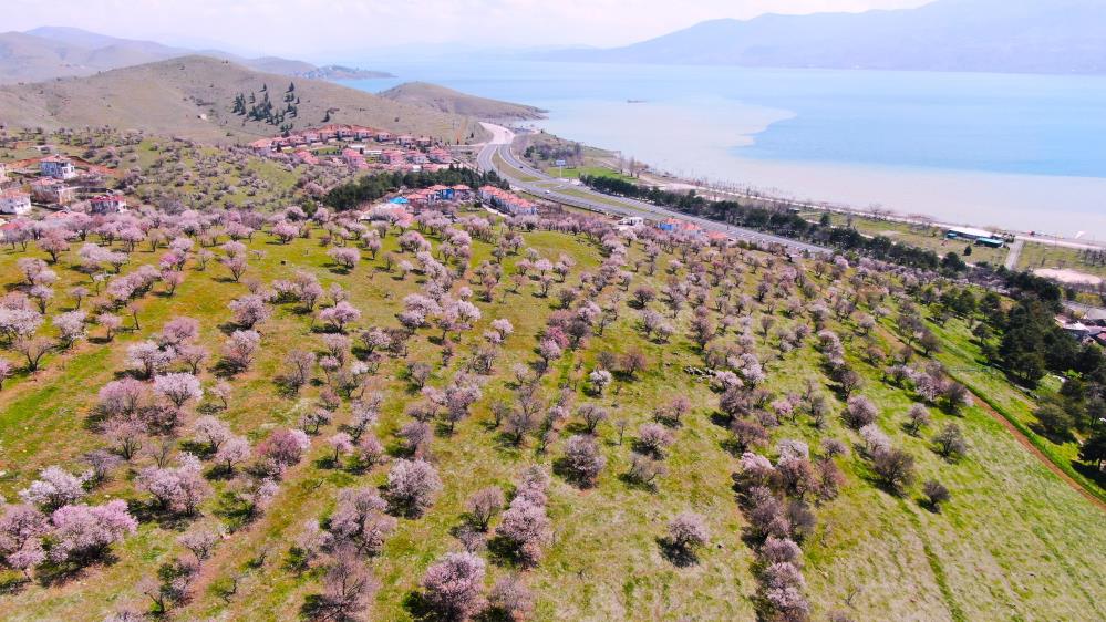 Hazar Gölü kıyısında eşsiz manzara havadan görüntülendi