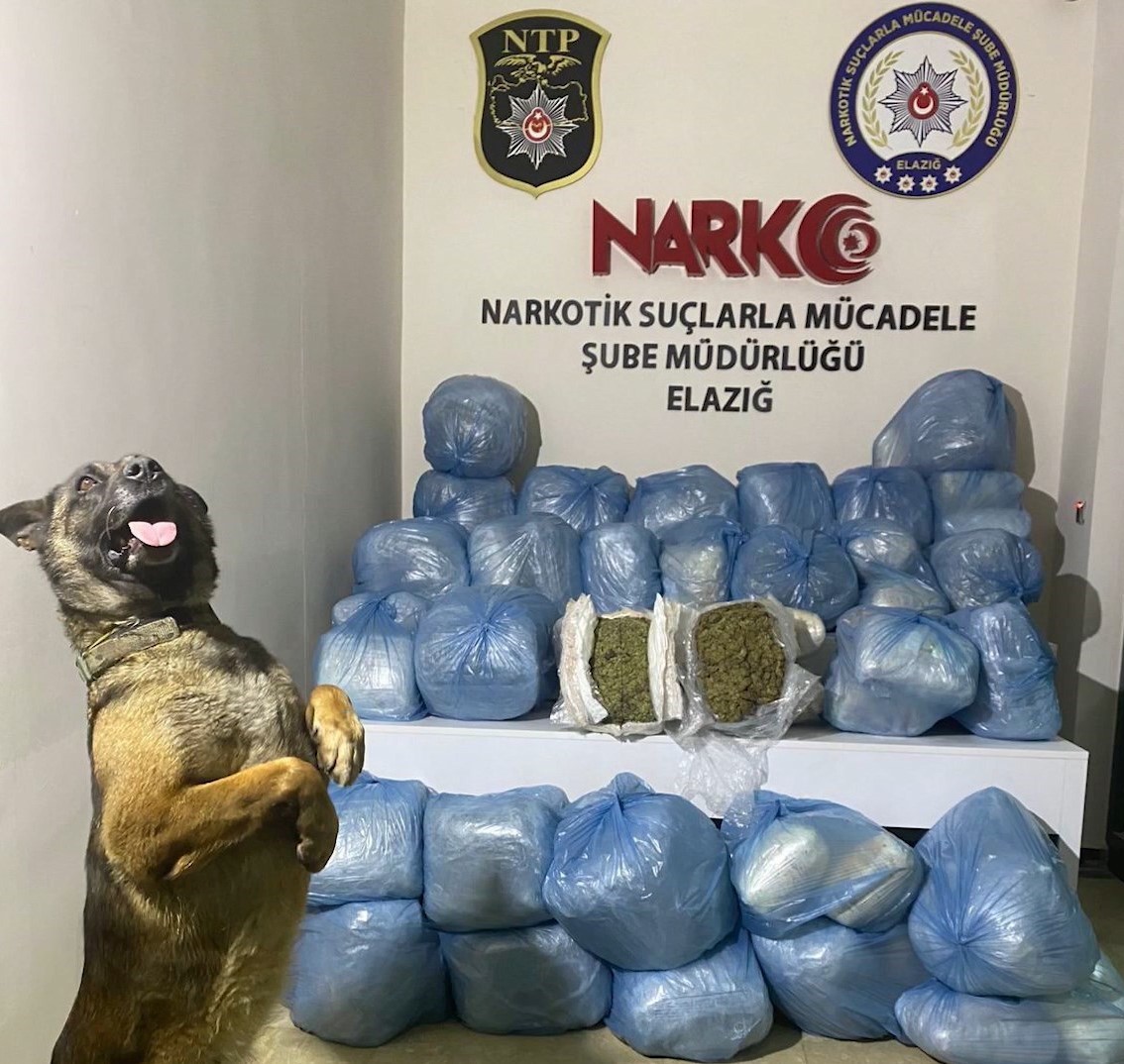 Elazığ'da 123 kilo uyuşturucu madde ele geçirildi: 11 tutuklama