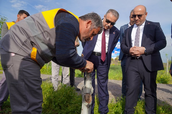 Diyarbakır'da fıstık ve ceviz ağaçlarında aşılama çalışması başlatıldı