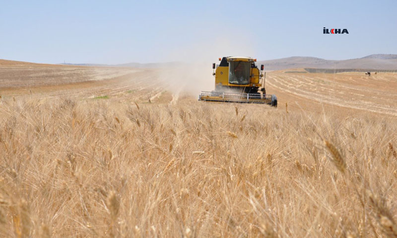 Buğday, arpa ve mısır ithalatında gümrük vergisi yüzde 130'a yükseltildi