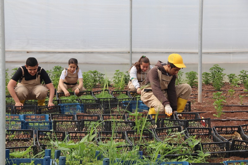 Diyarbakır'da özel öğrenciler depremzede çiftçiler için sebze fideleri yetiştirdi