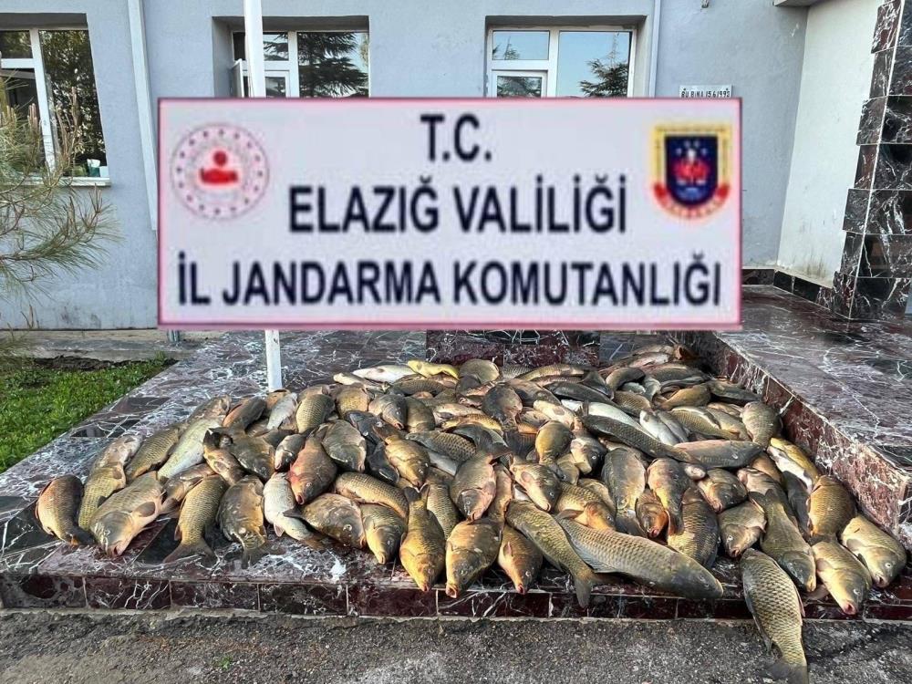 Elazığ’da kaçak balık avı yapan 3 şahsa, 49 bin lira ceza