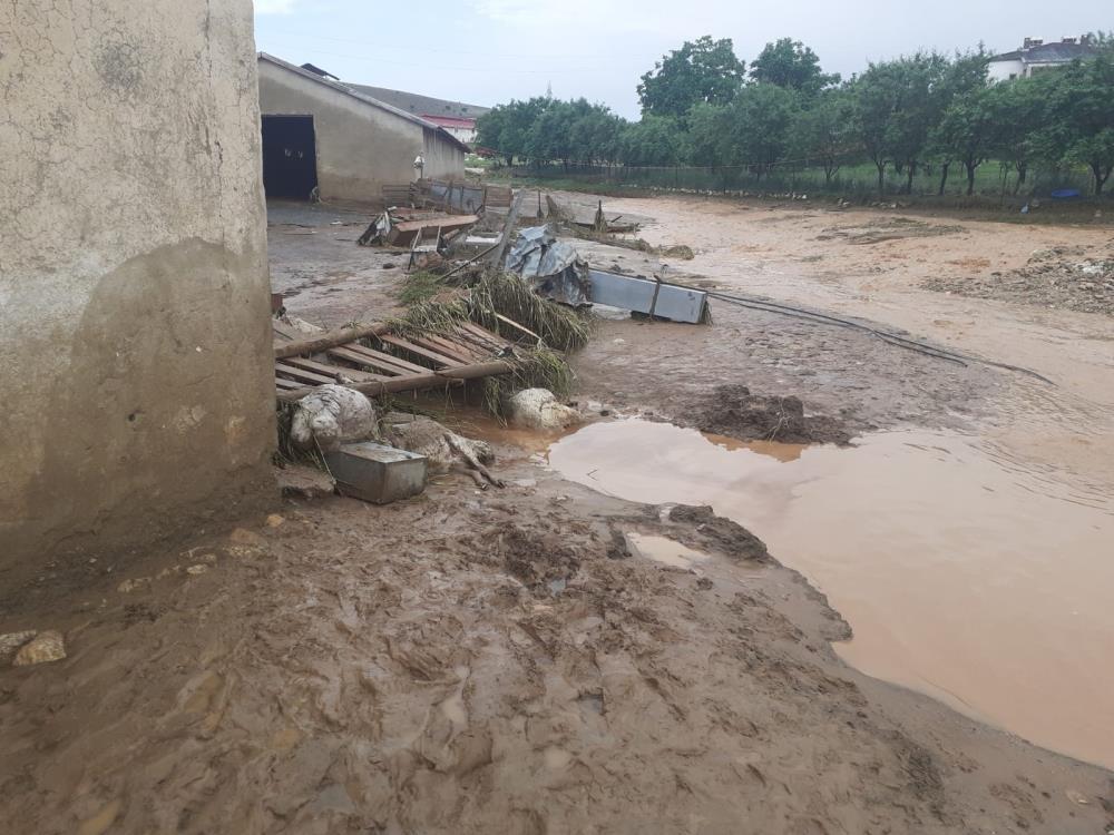 Elazığ’da sağanak yağış hayatı felç etti, 105 hayvan telef oldu