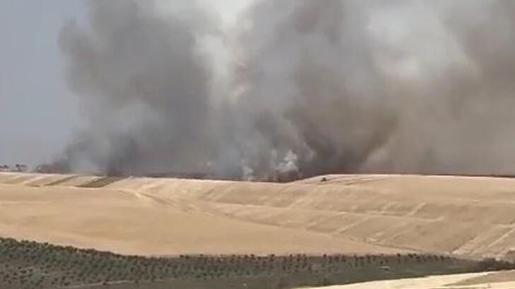 Diyarbakır'da 100 dönümlük ekin yandı