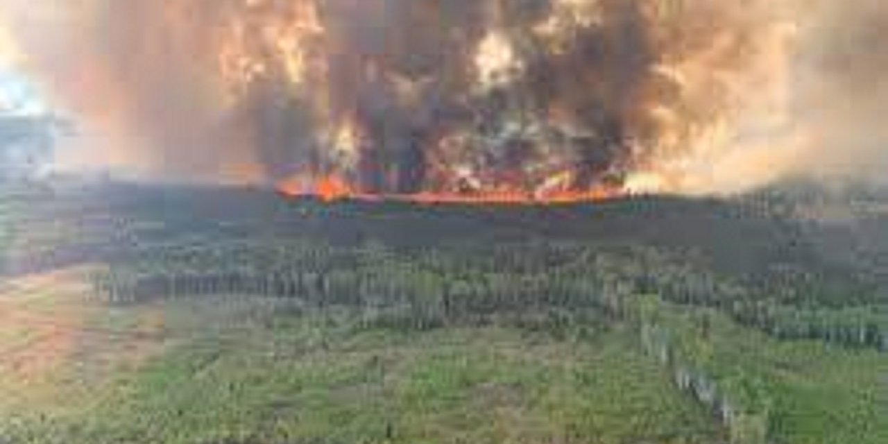 Kanada’daki orman yangınlarında 4,5 milyon hektarlık alan küle döndü