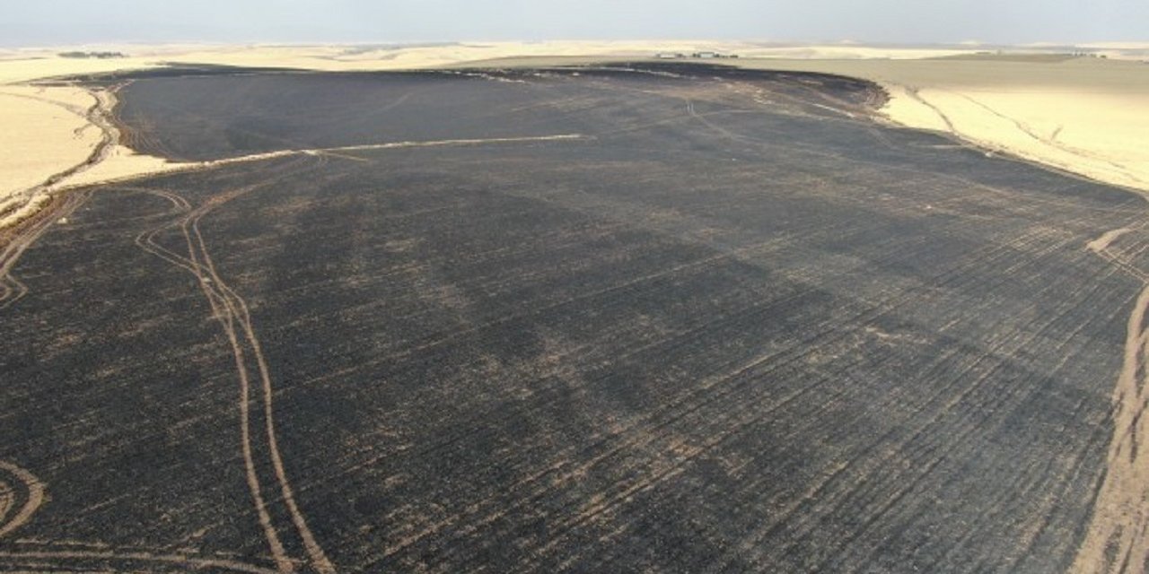 Diyarbakır’da 700 dönüm buğday tarlası yandı