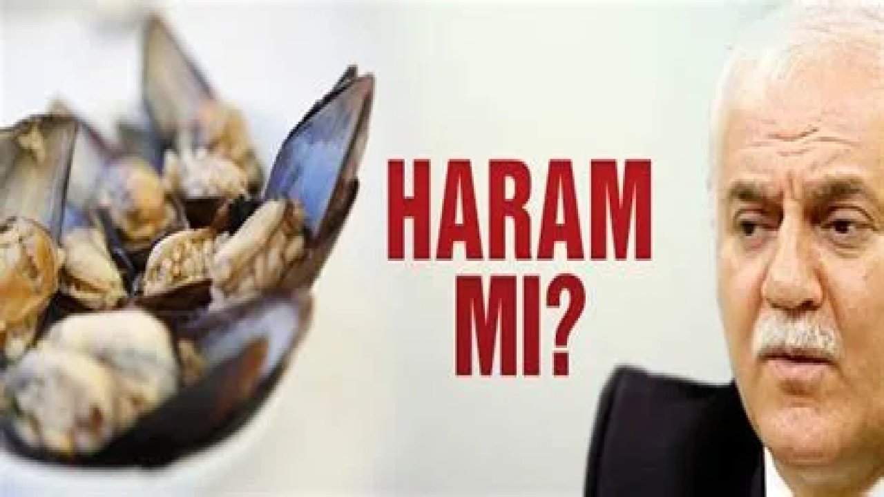 Midye helal mi haram mı?  Nihat Hatipoğlu  yorumladı