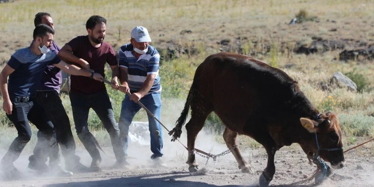 Kurban Bayramı'nda çevreyi kirletenlere ceza