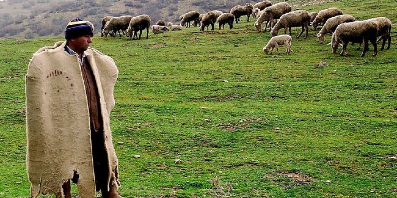 Dicle Üniversitesi Diyarbakır'da kadrolu çoban arıyor