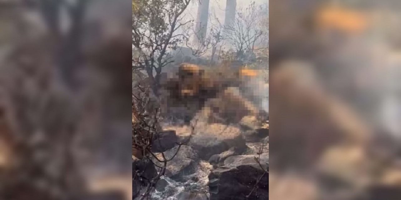 Marmaris'teki orman yangınında erkek cesedi bulundu