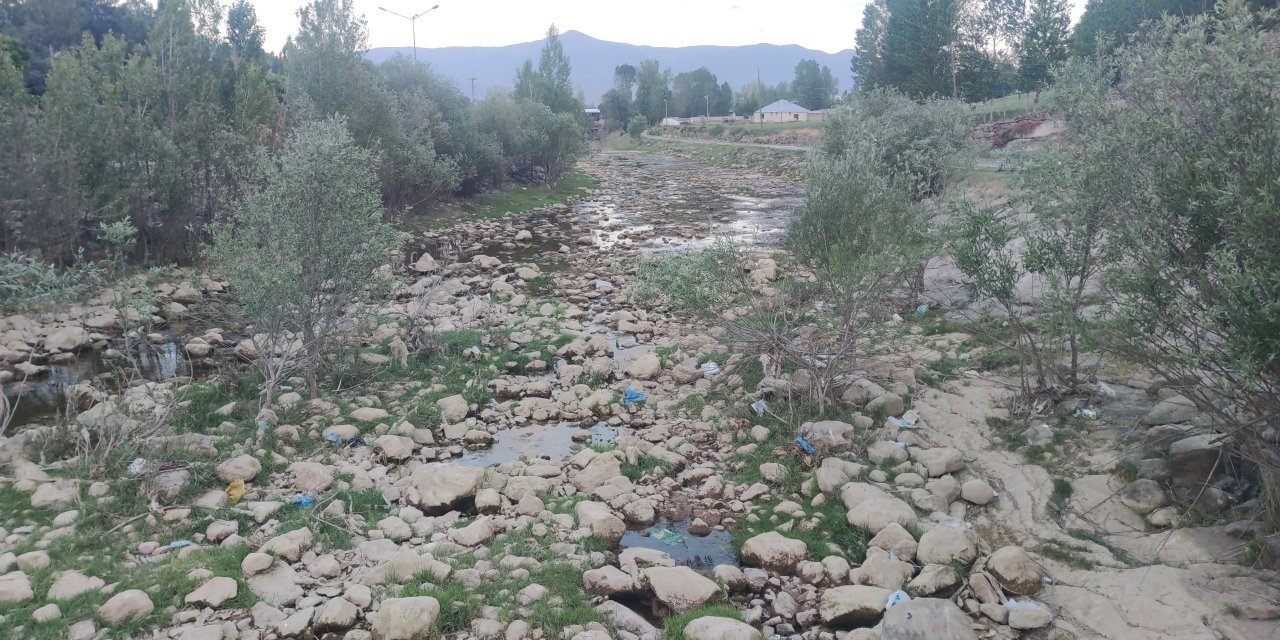 İnci Kefal'in göç yolundaki Bendimahi Çayı kurudu