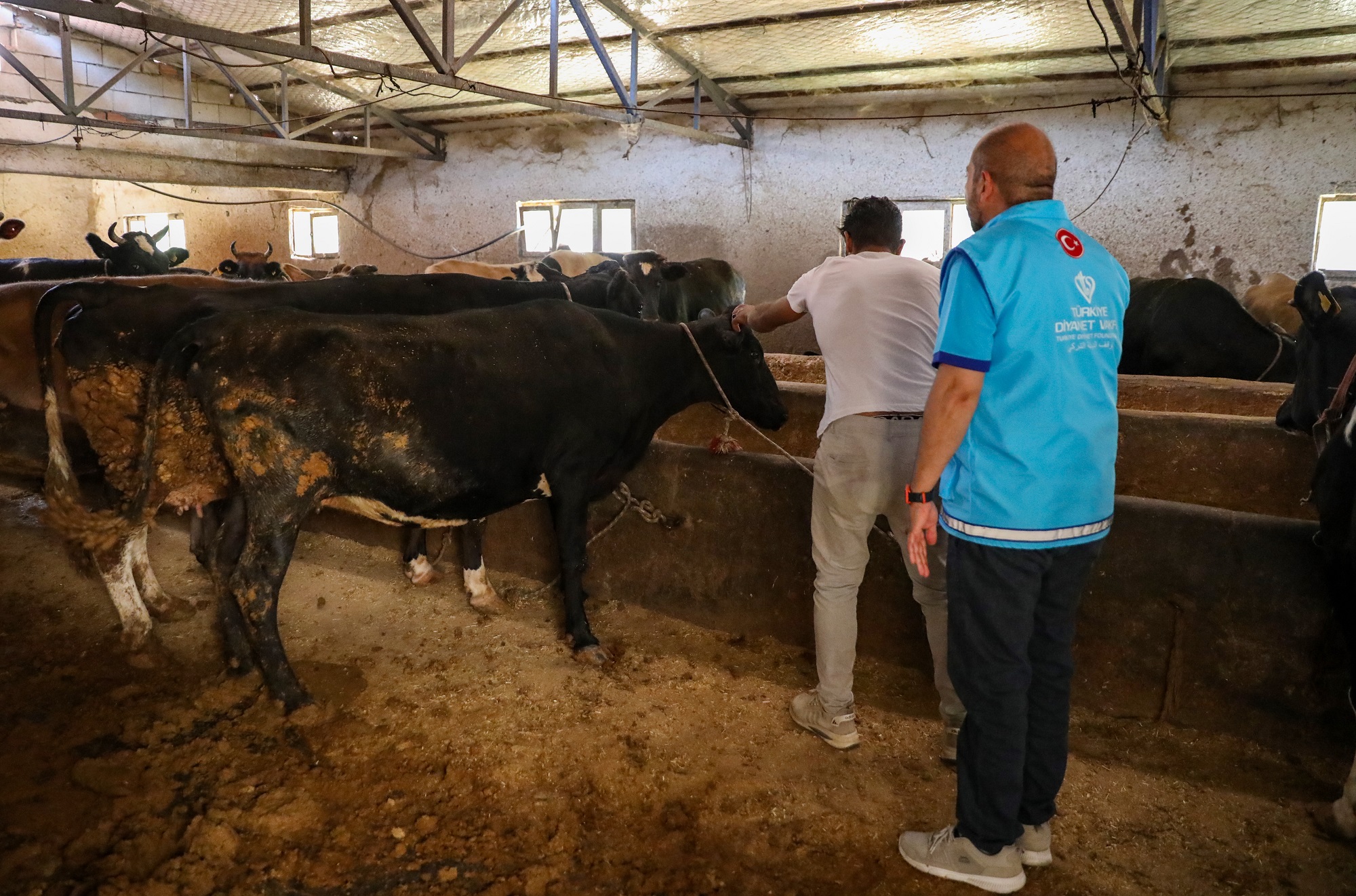 Diyarbakır'da kesilecek 14 bin hisse kurban eti dağıtılacak