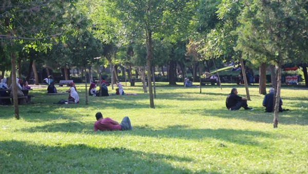 Aşırı sıcaklardan kaçan ağaç gölgesine sığınıyor