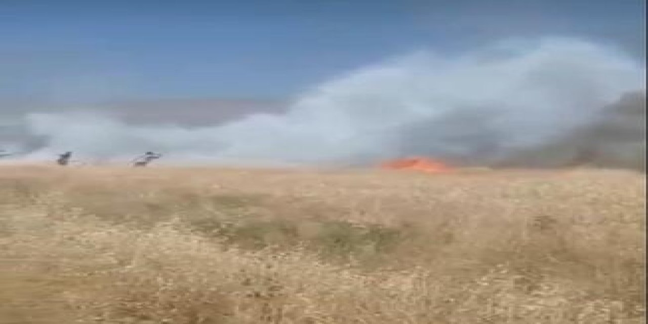 Diyarbakır’da ekili arazideki yangın 6 saatte söndürüldü