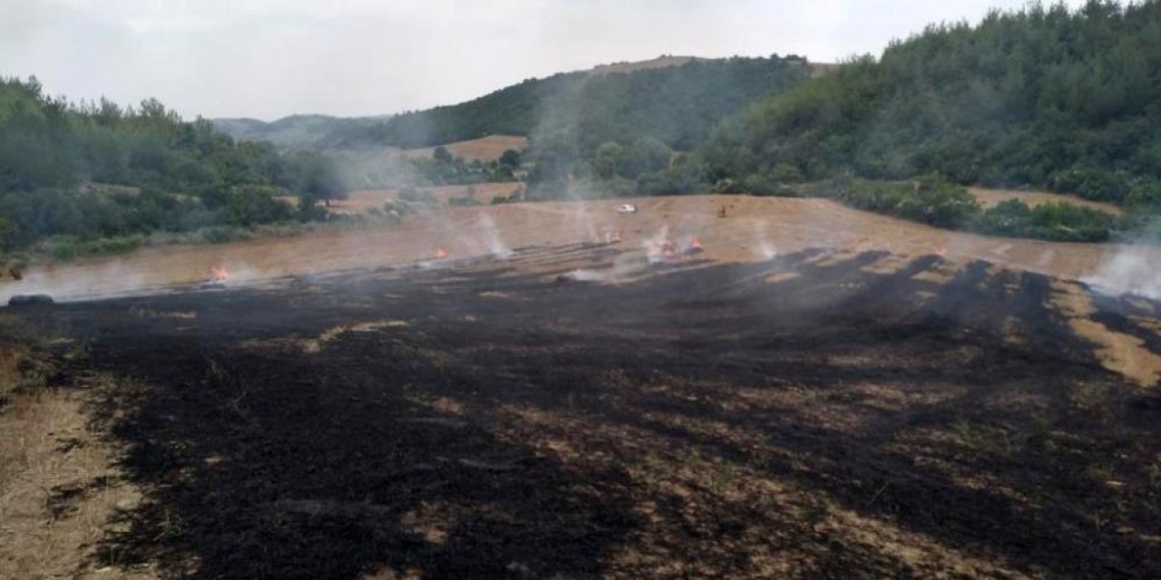 Diyarbakır'da anız yangını ormana sıçradı