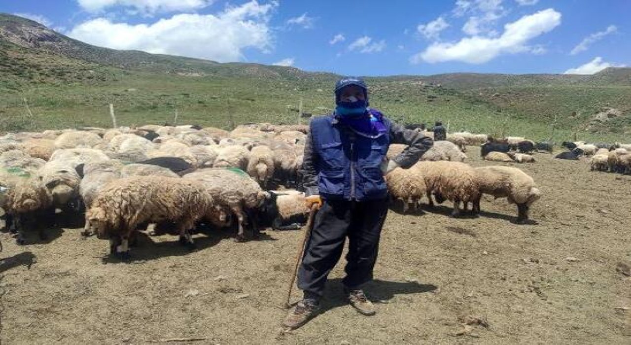 Hakkari'de çoban krizi; İran'dan çoban getirildi
