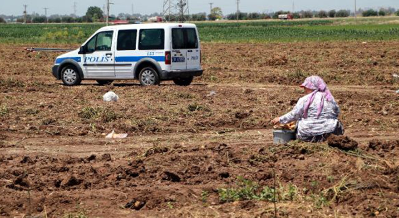 Patates tarlasında kavga; baba-oğul bıçaklandı