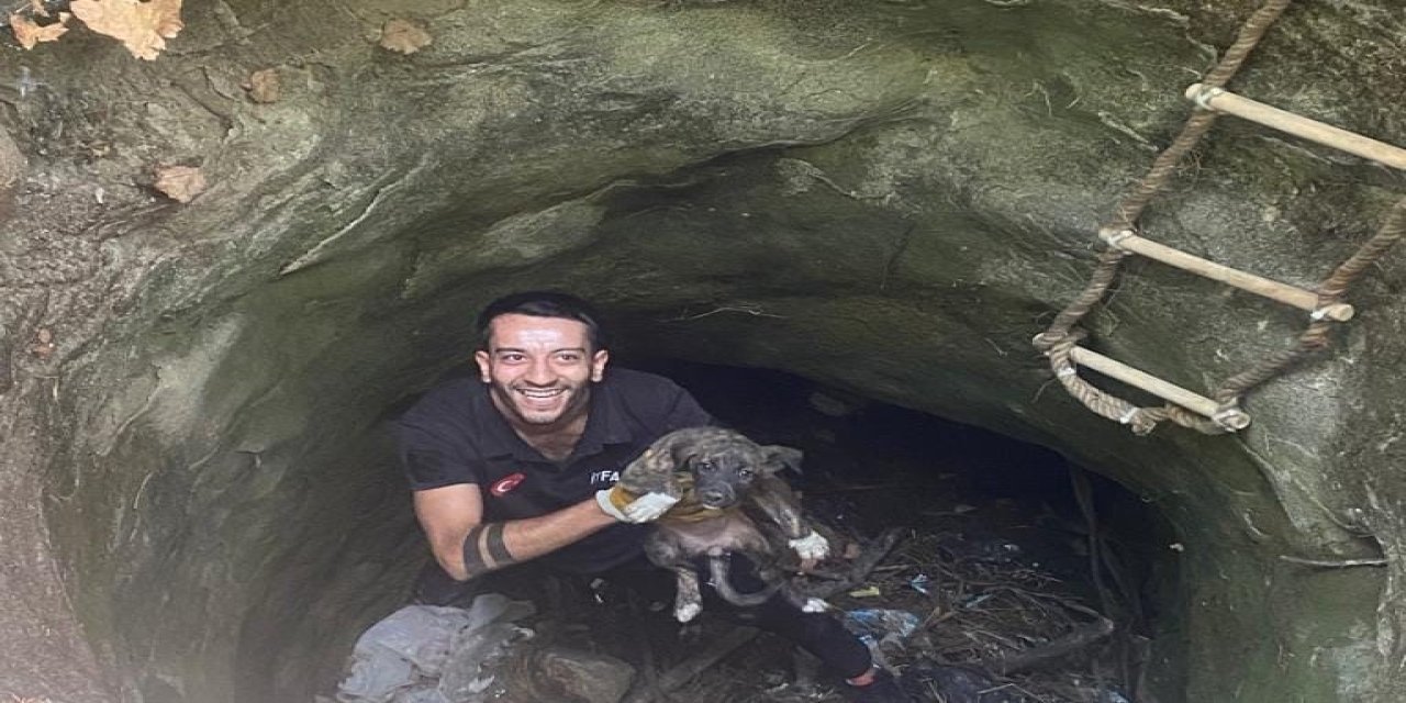 Silvan'da kuyuya düşen yavru köpeği itfaiye ekibi kurtardı