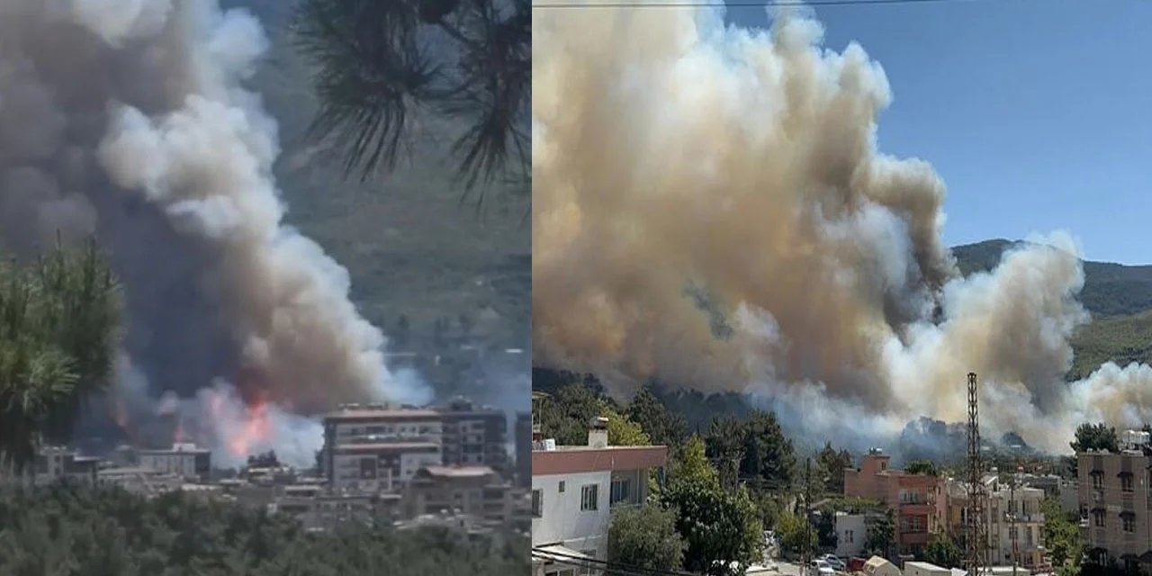 Hatay'daki orman yangınını söndürme çalışmaları devam ediyor