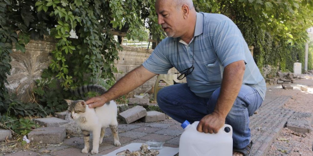 Diyarbakır'da sokak hayvanlarına destek