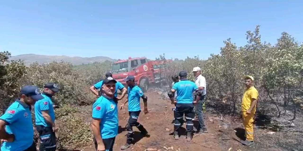 Lice’deki orman yangını kontrol altına alındı