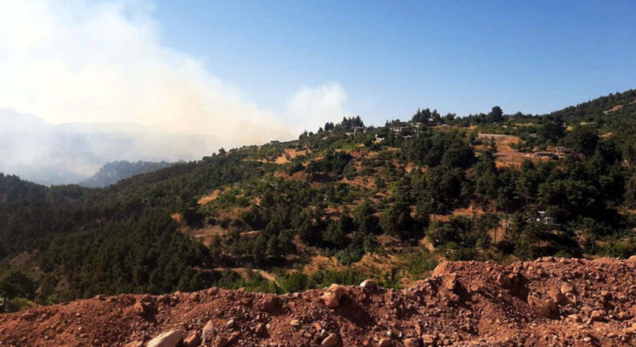 Kahramanmaraş'ta orman yangını