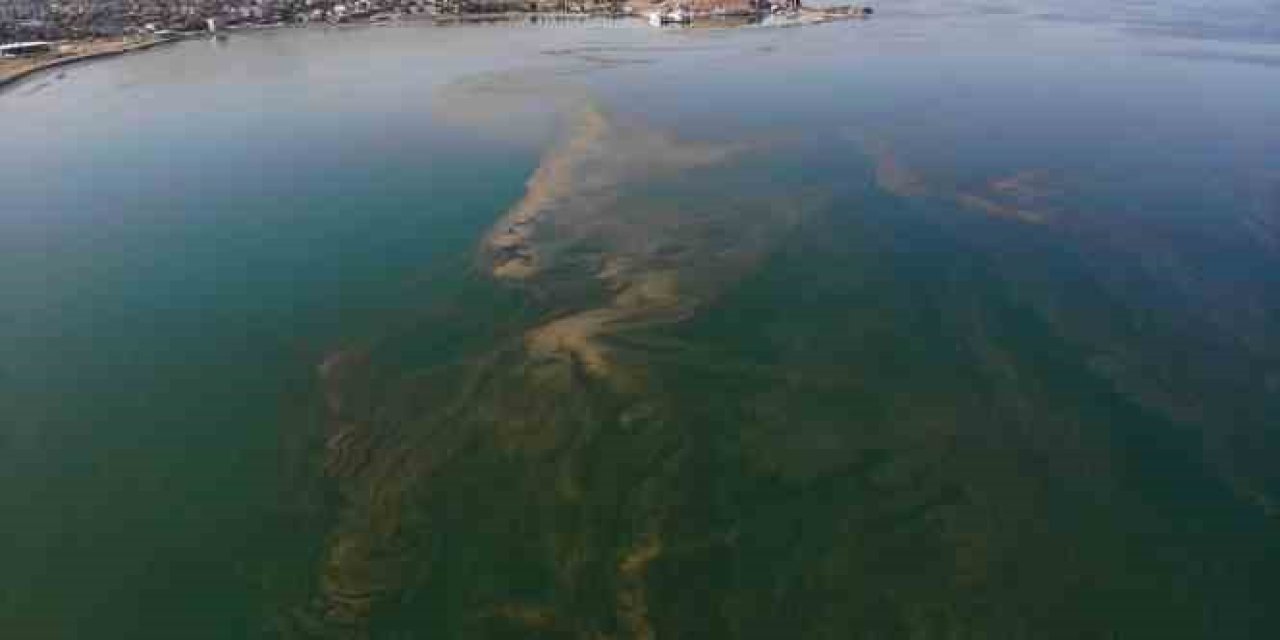 Van Gölü'nde kirlilik artıyor