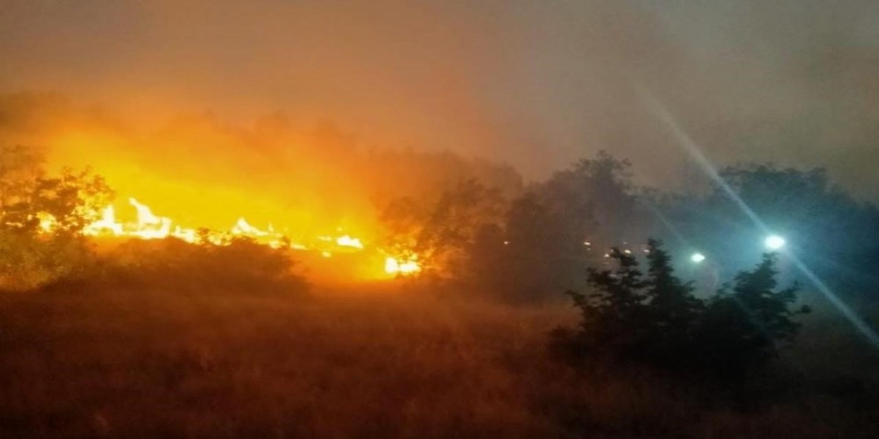 Diyarbakır'da orman yangınlarının ağır bilançosu