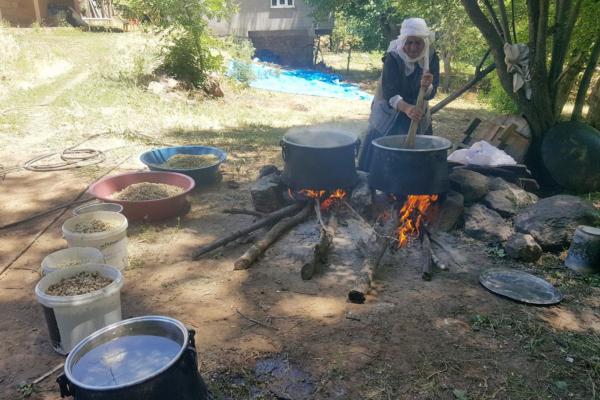 Video Haber: Köylerde dut pekmezi zamanı