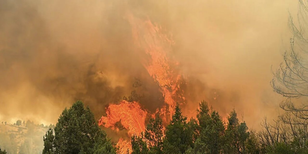 HDP: Cudi’de orman yangınına müdahaleye izin verilmiyor