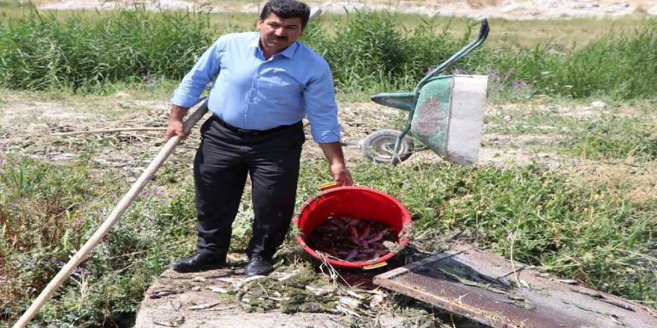 Alabalık üreticileri mağdur; 325 ton balık öldü