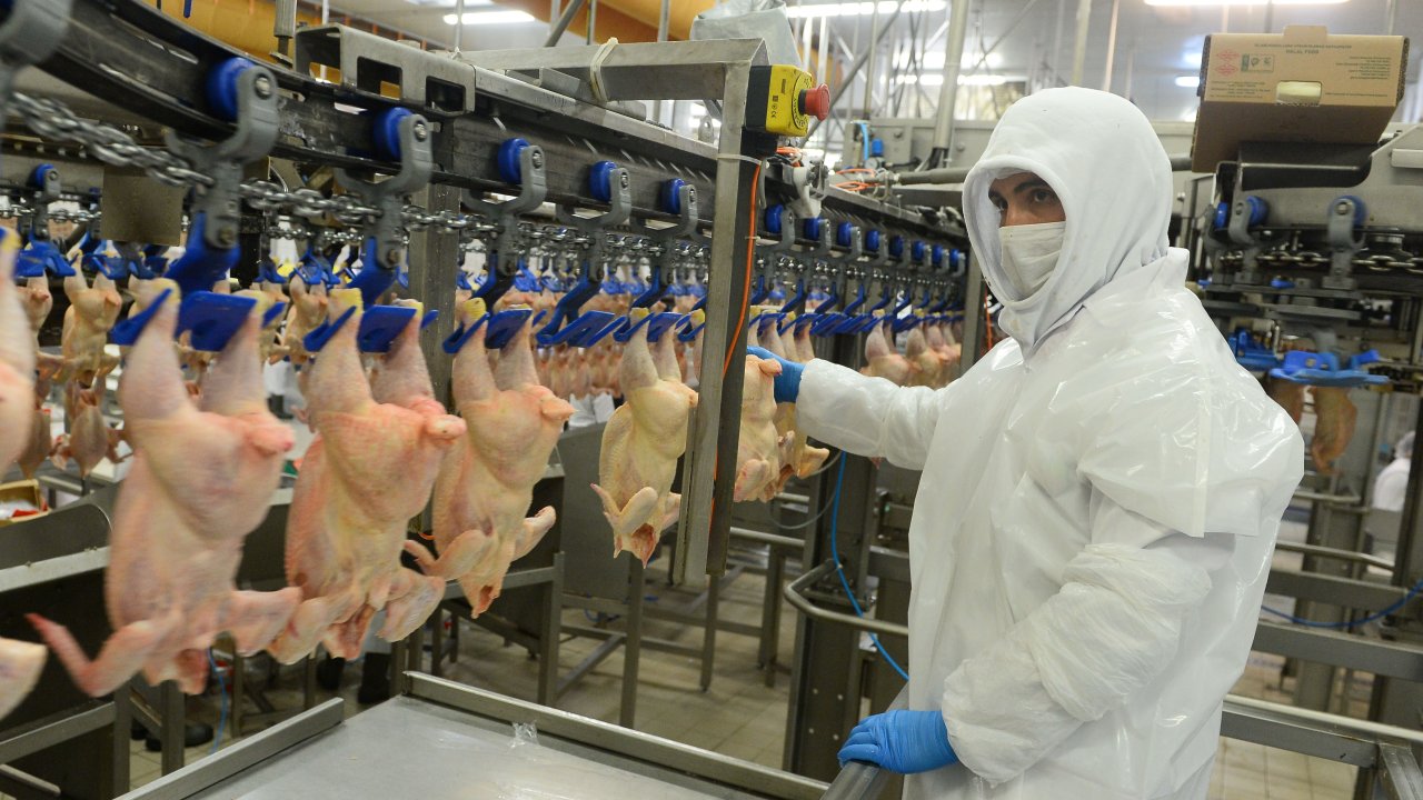 Beyaz et üretiminde ciddi azalma