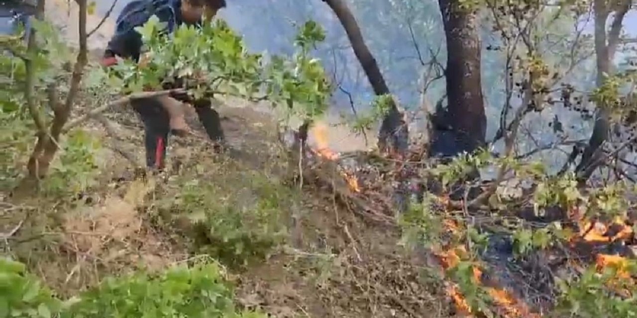 Hakkari'deki orman yangını kısmen kontrol altına alındı