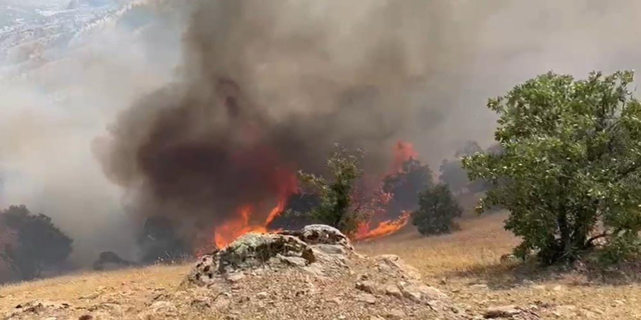 Orman yangınında 2 kişi öldü