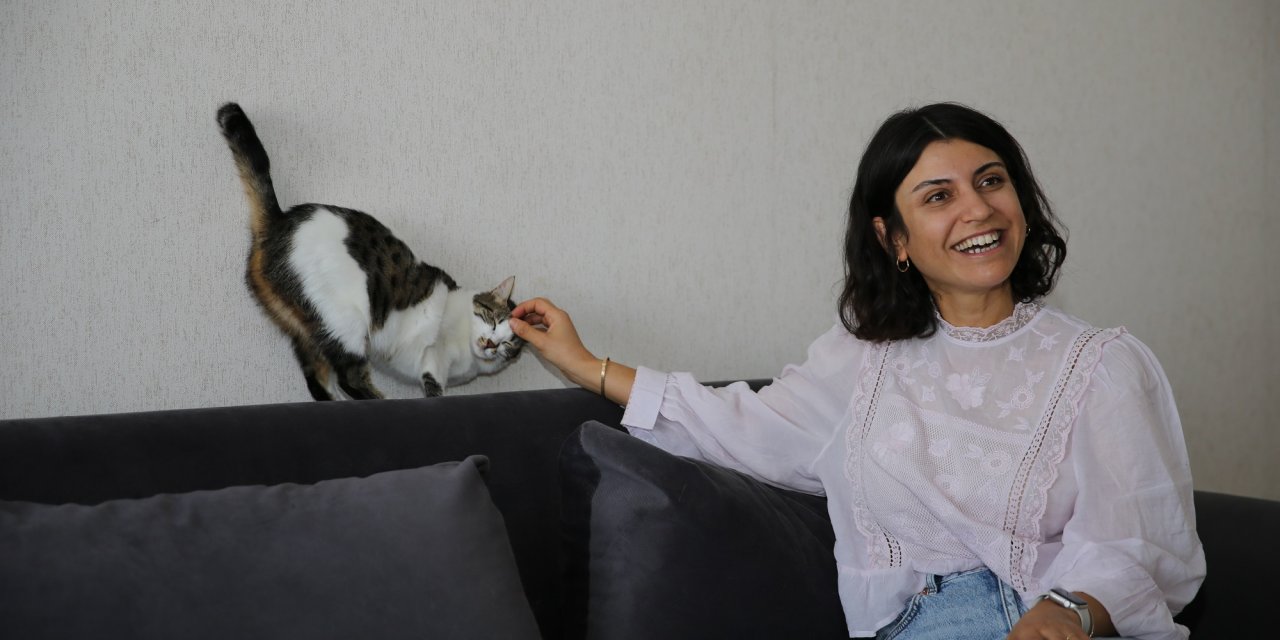 Diyarbakırlı öğretmen sahiplendiği 8 kediye şefkatle bakıyor
