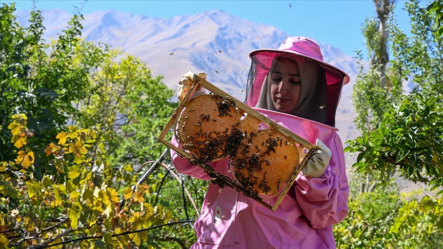 Pembe kıyafetli kadınlar 2800 rakımlı yaylada bal hasadına başladı