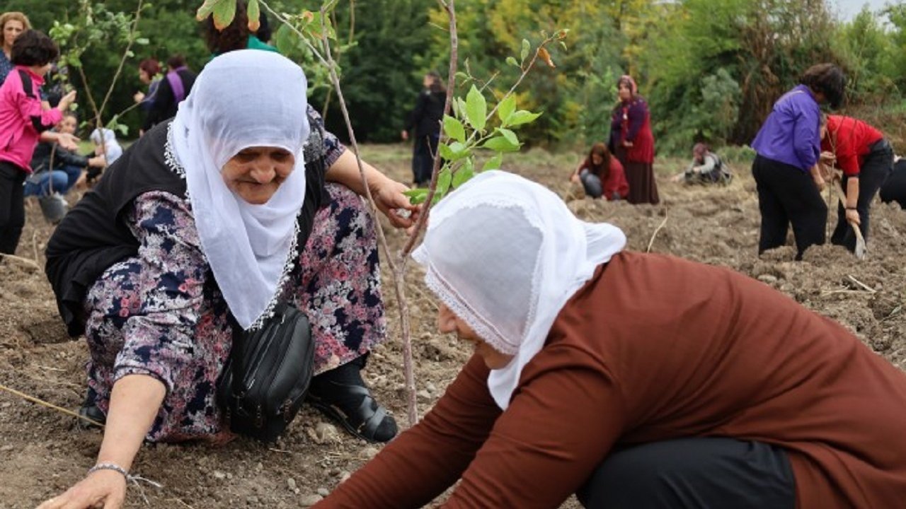 Diyarbakırlı kadınlar barış için ağaç dikti